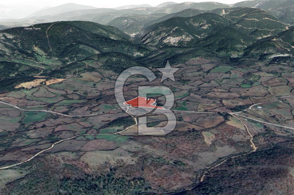 Lapseki Hacıgelen Köyünde Yolu Açılmış Satılık Tarla