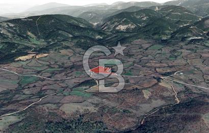 Lapseki Hacıgelen Köyünde Yolu Açılmış Satılık Tarla