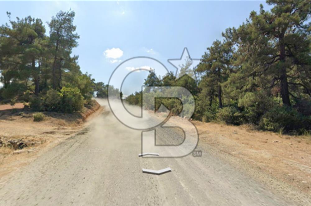 Lapseki Hacıgelen Köyünde Yolu Açılmış Satılık Tarla