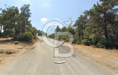 Lapseki Hacıgelen Köyünde Yolu Açılmış Satılık Tarla