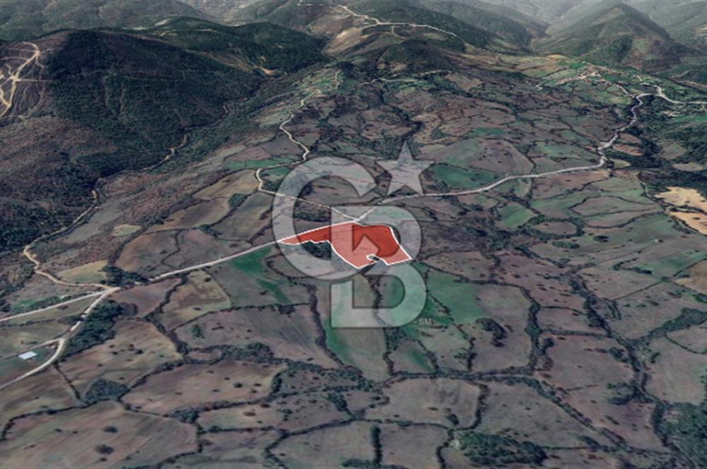 Lapseki Hacıgelen Köyünde Yolu Açılmış Satılık Tarla