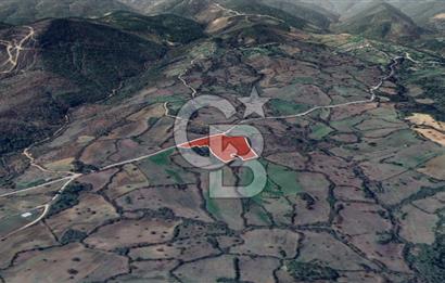 Lapseki Hacıgelen Köyünde Yolu Açılmış Satılık Tarla