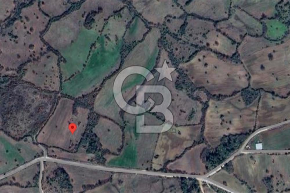 Lapseki Hacıgelen Köyünde Yolu Açılmış Satılık Tarla