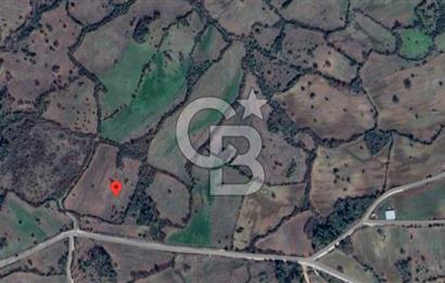 Lapseki Hacıgelen Köyünde Yolu Açılmış Satılık Tarla