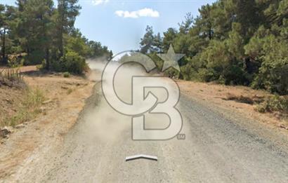 Lapseki Hacıgelen Köyünde Yolu Açılmış Satılık Tarla