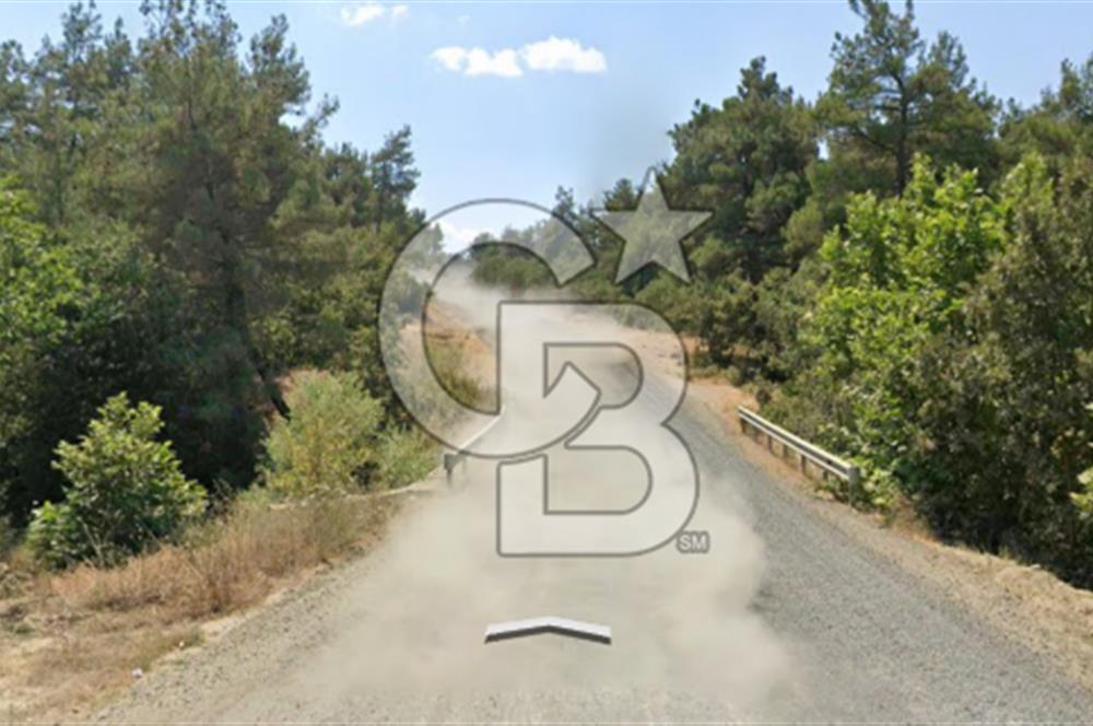 Lapseki Hacıgelen Köyünde Yolu Açılmış Satılık Tarla