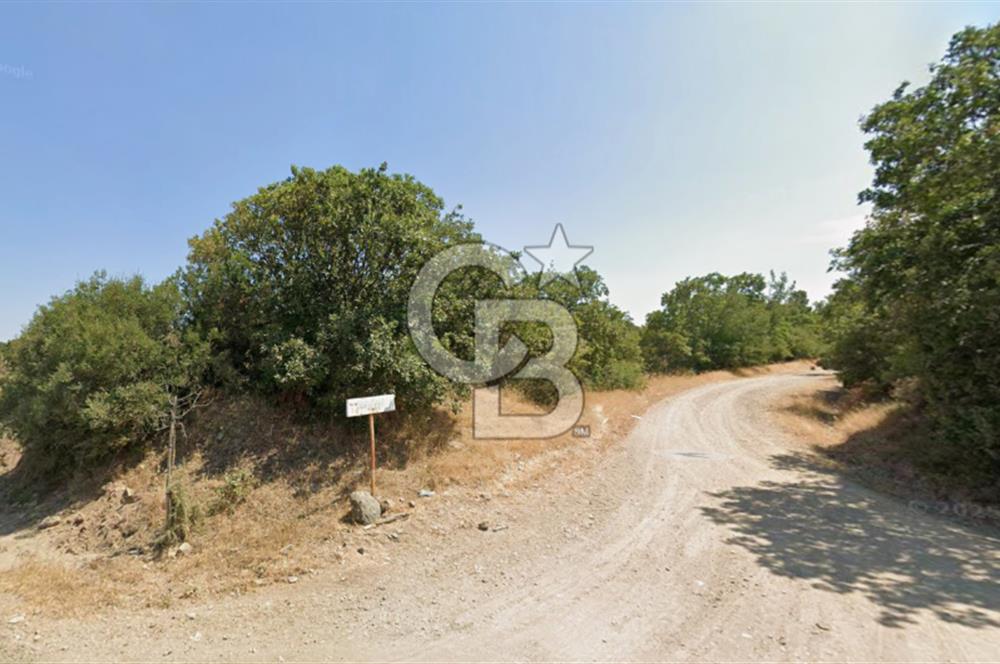 Lapseki Hacıgelen Köyünde Yolu Açılmış Satılık Tarla