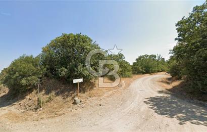 Lapseki Hacıgelen Köyünde Yolu Açılmış Satılık Tarla