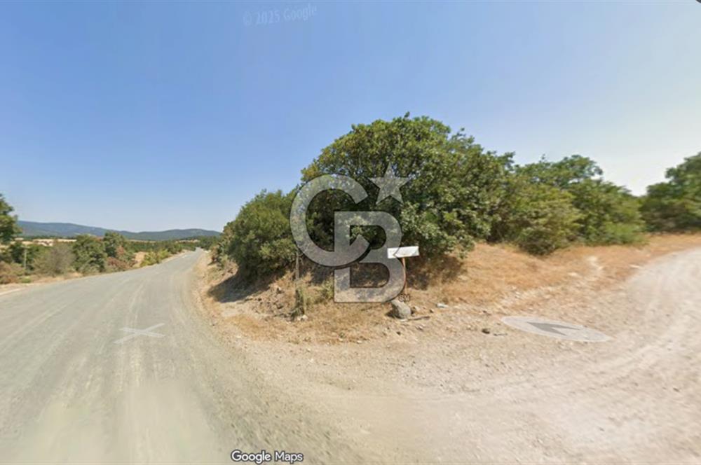 Lapseki Hacıgelen Köyünde Yolu Açılmış Satılık Tarla