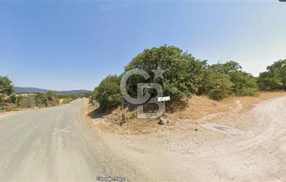 Lapseki Hacıgelen Köyünde Yolu Açılmış Satılık Tarla