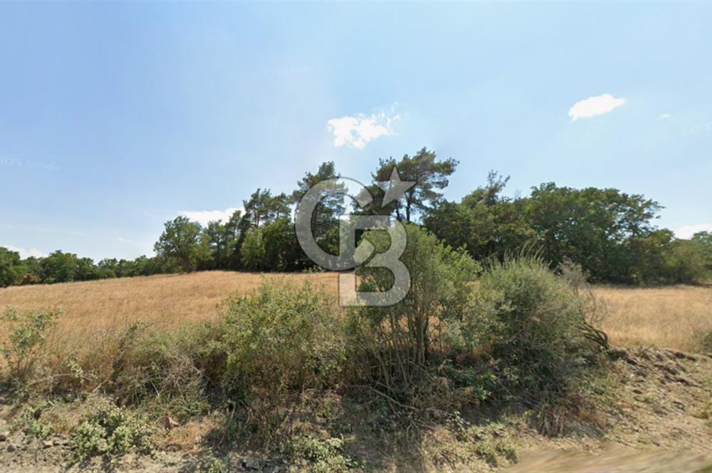 Lapseki Hacıgelen Köyünde Yolu Açılmış Satılık Tarla