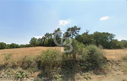 Lapseki Hacıgelen Köyünde Yolu Açılmış Satılık Tarla