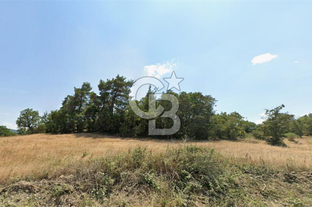 Lapseki Hacıgelen Köyünde Yolu Açılmış Satılık Tarla