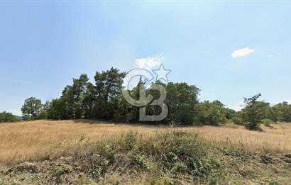 Lapseki Hacıgelen Köyünde Yolu Açılmış Satılık Tarla