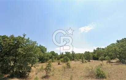 Lapseki Hacıgelen Köyünde Yolu Açılmış Satılık Tarla