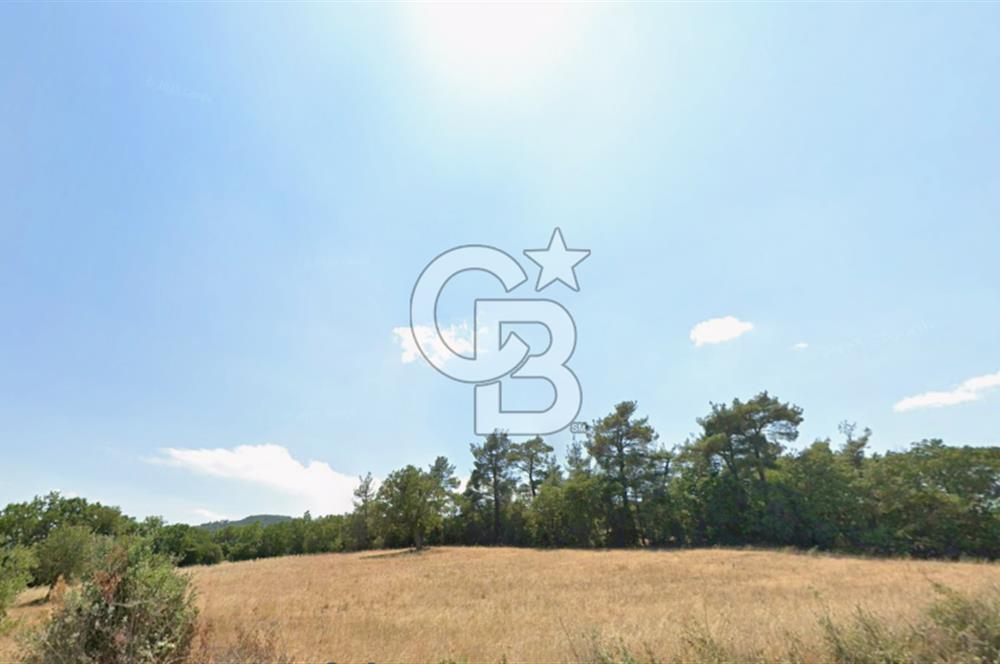 Lapseki Hacıgelen Köyünde Yolu Açılmış Satılık Tarla