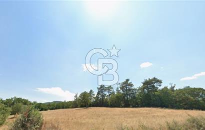 Lapseki Hacıgelen Köyünde Yolu Açılmış Satılık Tarla