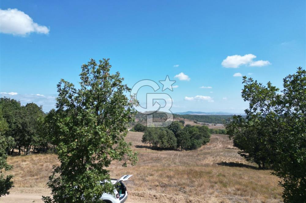 LAPSEKİ'DE GES VE ÇİFTLİK YATIRIMINA UYGUN SATILIK TARLA