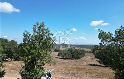 LAPSEKİ'DE GES VE ÇİFTLİK YATIRIMINA UYGUN SATILIK TARLA