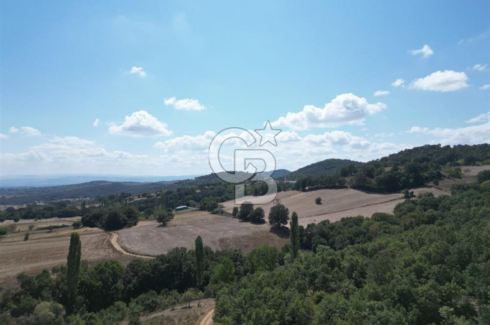 LAPSEKİ'DE GES VE ÇİFTLİK YATIRIMINA UYGUN SATILIK TARLA