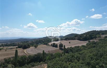 LAPSEKİ'DE GES VE ÇİFTLİK YATIRIMINA UYGUN SATILIK TARLA