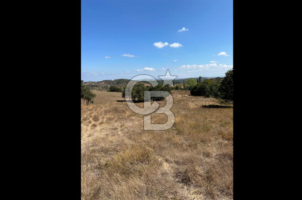 LAPSEKİ'DE GES VE ÇİFTLİK YATIRIMINA UYGUN SATILIK TARLA