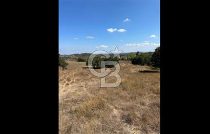 LAPSEKİ'DE GES VE ÇİFTLİK YATIRIMINA UYGUN SATILIK TARLA