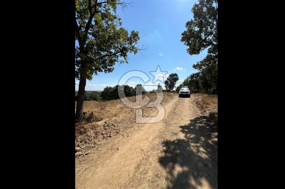 LAPSEKİ'DE GES VE ÇİFTLİK YATIRIMINA UYGUN SATILIK TARLA