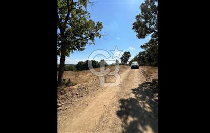 LAPSEKİ'DE GES VE ÇİFTLİK YATIRIMINA UYGUN SATILIK TARLA