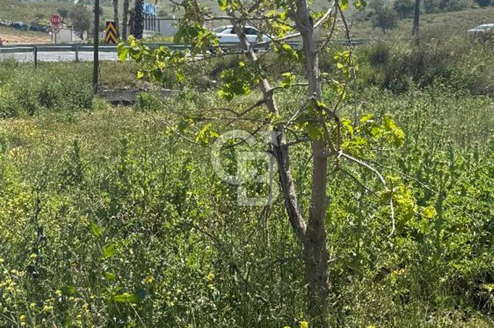 Güzelbahçe Çamlı Mahallesi’nde köşe parsel ticari arsa