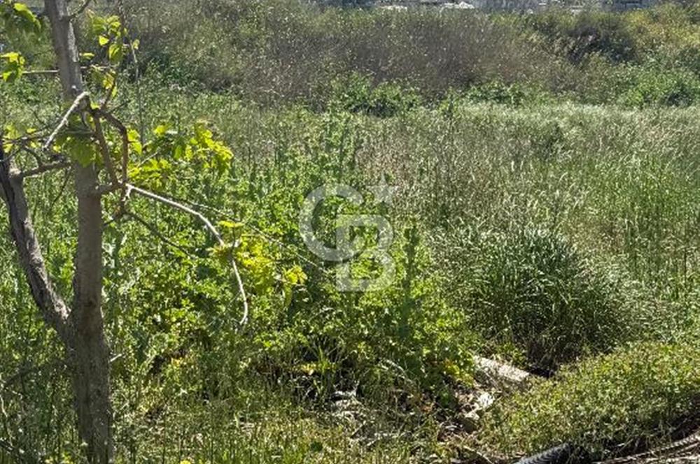 Güzelbahçe Çamlı Mahallesi’nde köşe parsel ticari arsa