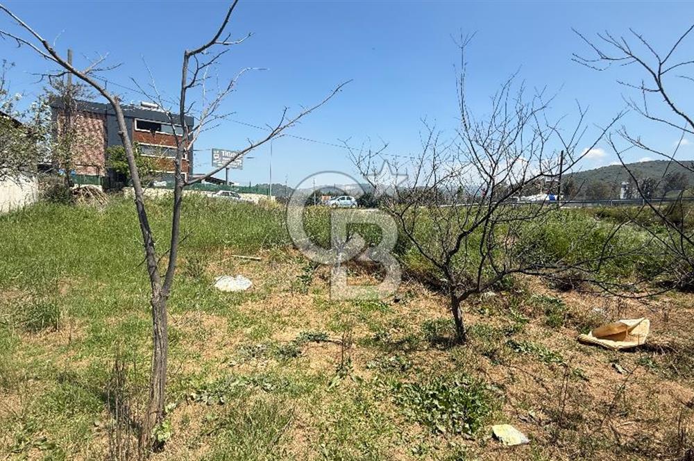 Güzelbahçe Çamlı Mahallesi’nde köşe parsel ticari arsa