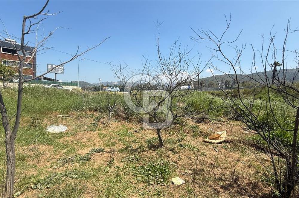 Güzelbahçe Çamlı Mahallesi’nde köşe parsel ticari arsa