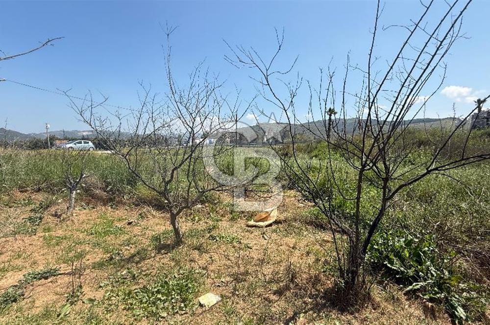 Güzelbahçe Çamlı Mahallesi’nde köşe parsel ticari arsa