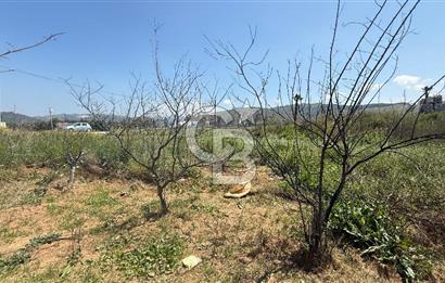 Güzelbahçe Çamlı Mahallesi’nde köşe parsel ticari arsa