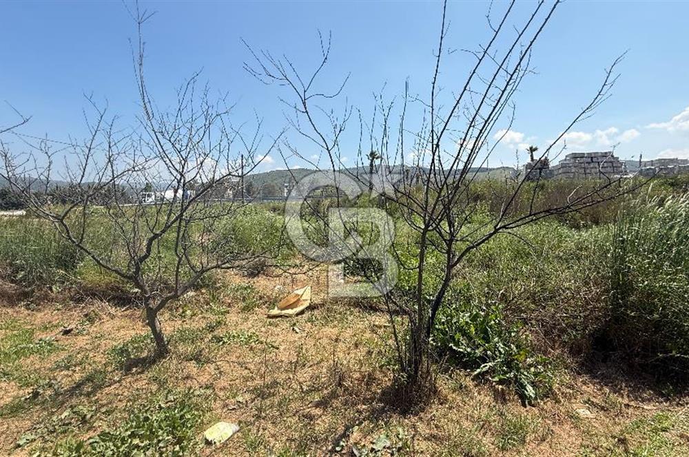 Güzelbahçe Çamlı Mahallesi’nde köşe parsel ticari arsa