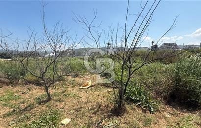 Güzelbahçe Çamlı Mahallesi’nde köşe parsel ticari arsa