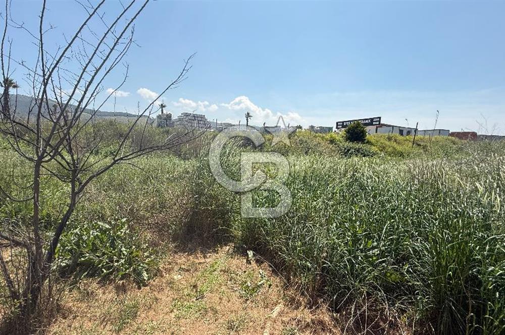 Güzelbahçe Çamlı Mahallesi’nde köşe parsel ticari arsa