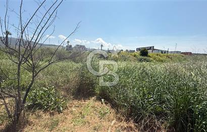 Güzelbahçe Çamlı Mahallesi’nde köşe parsel ticari arsa