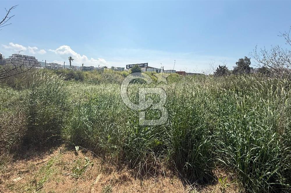 Güzelbahçe Çamlı Mahallesi’nde köşe parsel ticari arsa