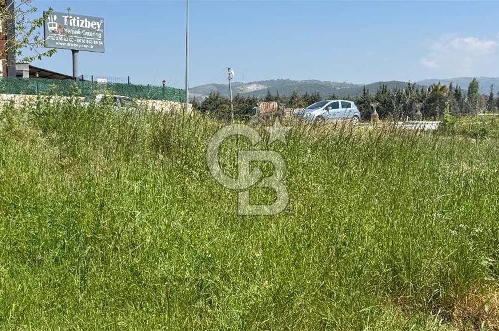 Güzelbahçe Çamlı Mahallesi’nde köşe parsel ticari arsa