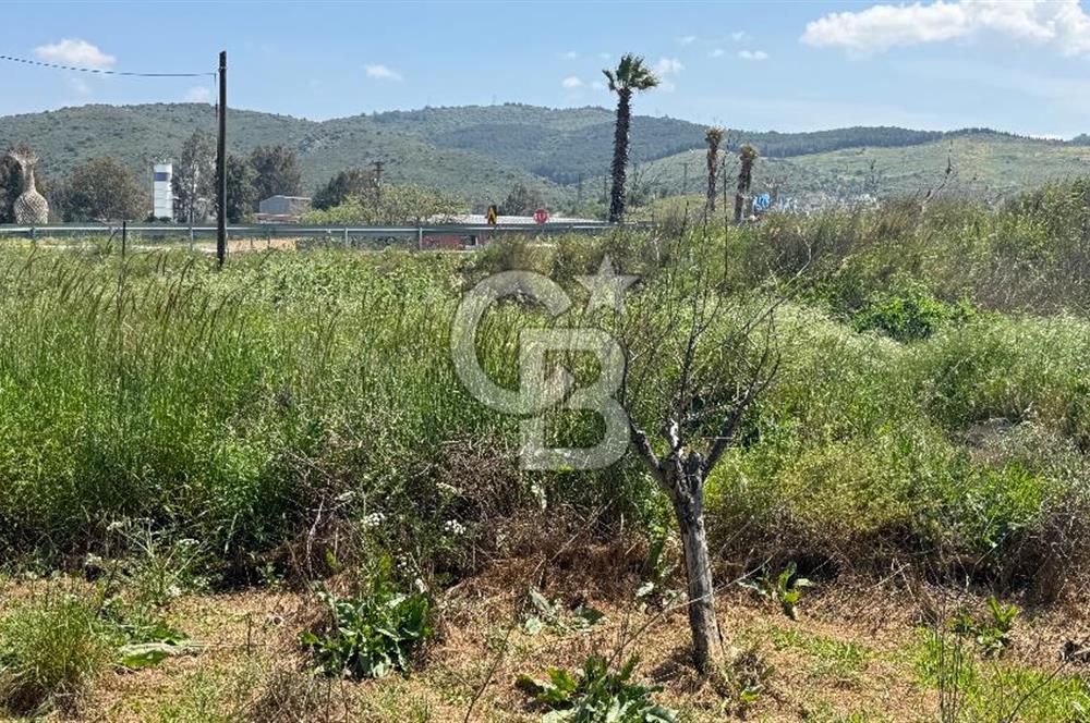 Güzelbahçe Çamlı Mahallesi’nde köşe parsel ticari arsa