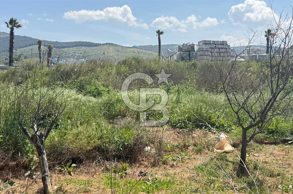 Güzelbahçe Çamlı Mahallesi’nde köşe parsel ticari arsa