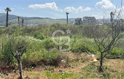 Güzelbahçe Çamlı Mahallesi’nde köşe parsel ticari arsa