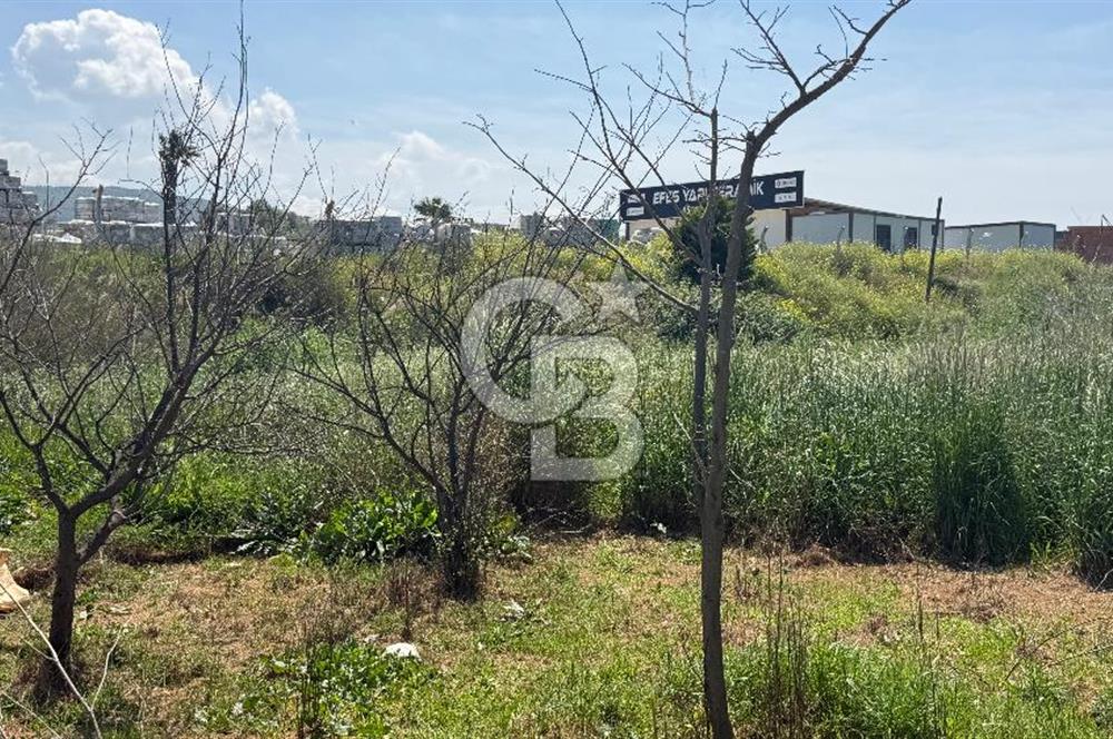 Güzelbahçe Çamlı Mahallesi’nde köşe parsel ticari arsa