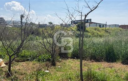 Güzelbahçe Çamlı Mahallesi’nde köşe parsel ticari arsa