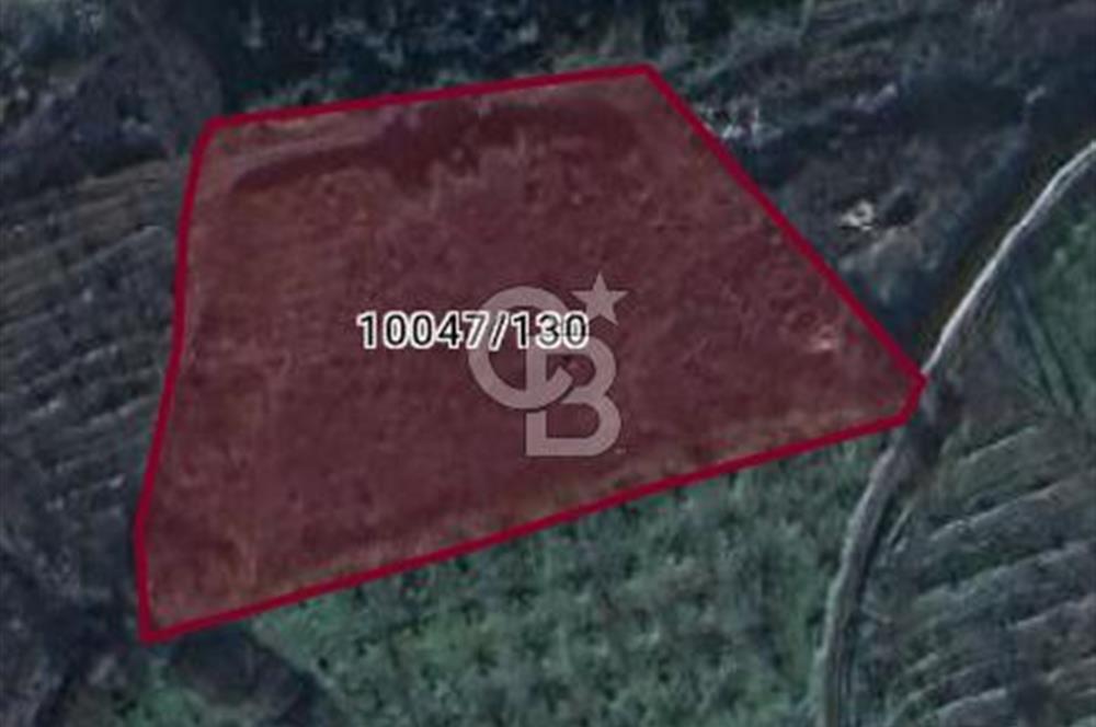 CB CLASS BURSA-YALOVA ANA YOLUNA CEPHELİ 5812 M2 YATIRIM FIRSATI