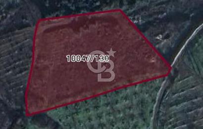 CB CLASS BURSA-YALOVA ANA YOLUNA CEPHELİ 5812 M2 YATIRIM FIRSATI