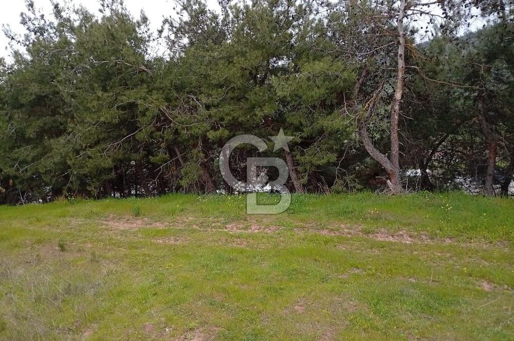 CB CLASS BURSA-YALOVA ANA YOLUNA CEPHELİ 5812 M2 YATIRIM FIRSATI