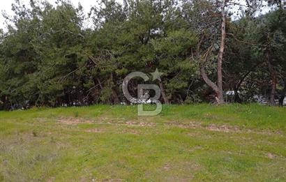 CB CLASS BURSA-YALOVA ANA YOLUNA CEPHELİ 5812 M2 YATIRIM FIRSATI